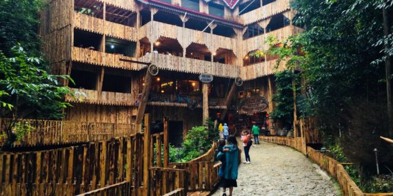 Cazılar Deresi Nerede ve Nasıl Gidilir? | Trabzon