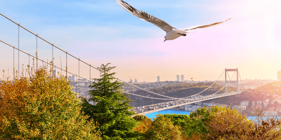 Otağtepe Fatih Korusu Nerede? Otağtepe Korusu, Fatih Korusu